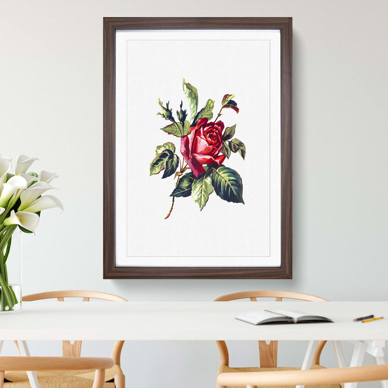 Red Rose Illustration - Framed Print, 36cm H x 27cm W x 2cm D, Walnut Framed
