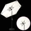 Parasol-1735911139