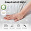 Matelas 12 po, mousse viscoélastique gélifiée rafraîchissante-65908763