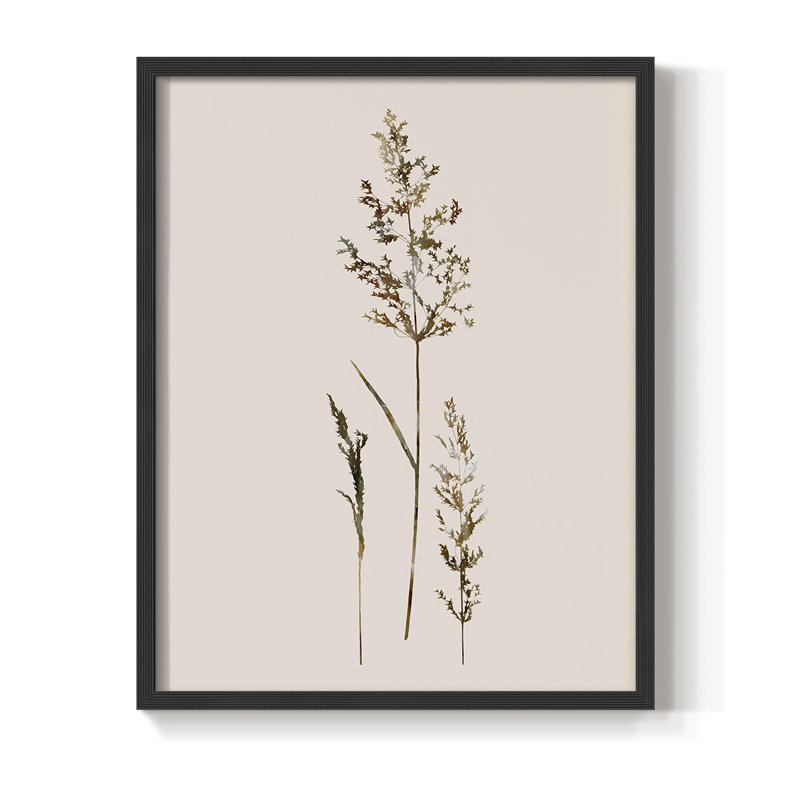 «Delicate Stems II», reproduction encadrée - bois massif, Noir, H 10 po x l 8 po