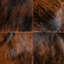 Coussin Brindle