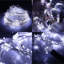 LED Indoor / Outdoor String Lights-604997390-604997387
