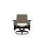 Wexler Outdoor Swivel Lounge Chair-1099678792-1102391102