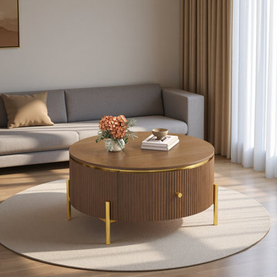 Table basse moderne avec 2 grands tiroirs de rangement Modern
