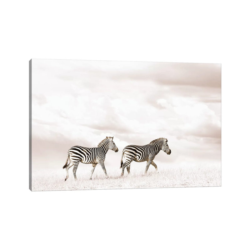 White Zebra Duo by Klaus Tiedge - Print on Canvas, Wrapped Canvas, 20.32 cm H x 30.48 cm W