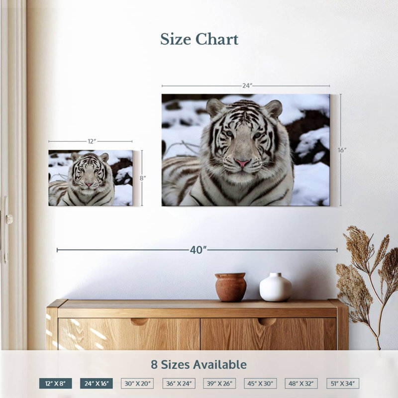 Brampt Glorious White Tiger, 16" H x 24" W