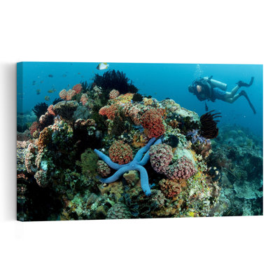 Vibrant Coral Reef Dive Colorful Vibrant Starfish Fish Nature Ocean Wall Art Print