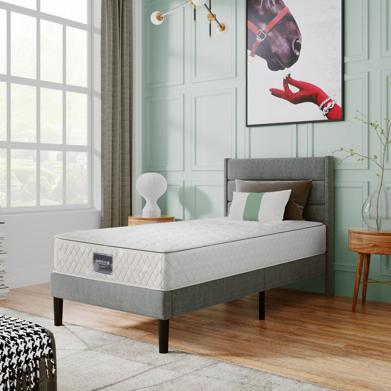 Nakasi Upholstered Bed, Grey, European Single (90 x 200cm)