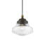 Luminaire suspendu unique et remarquable à 1 lumière Leore-1043025151