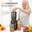 Extracteur de jus à mastication 5,3 po - Presse-fruits à presser à froid pour fruits et légumes entiers, extracteur à haut rendement de 250 W, facile à nettoyer-110844933
