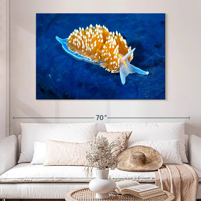Nudibranche rougeoyant Crowle, H 34 po x l 51 po