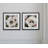 " Anemone Study " 2 - Pieces-27610094
