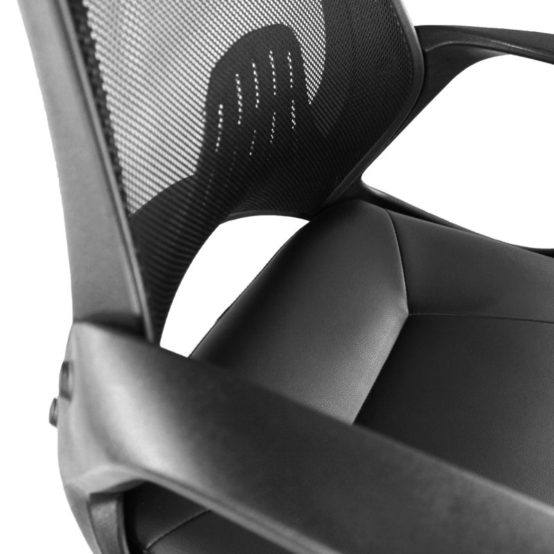 Eliezer Office Chair with Headrest