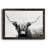 " Highland Longhorn "-245321945-245323558