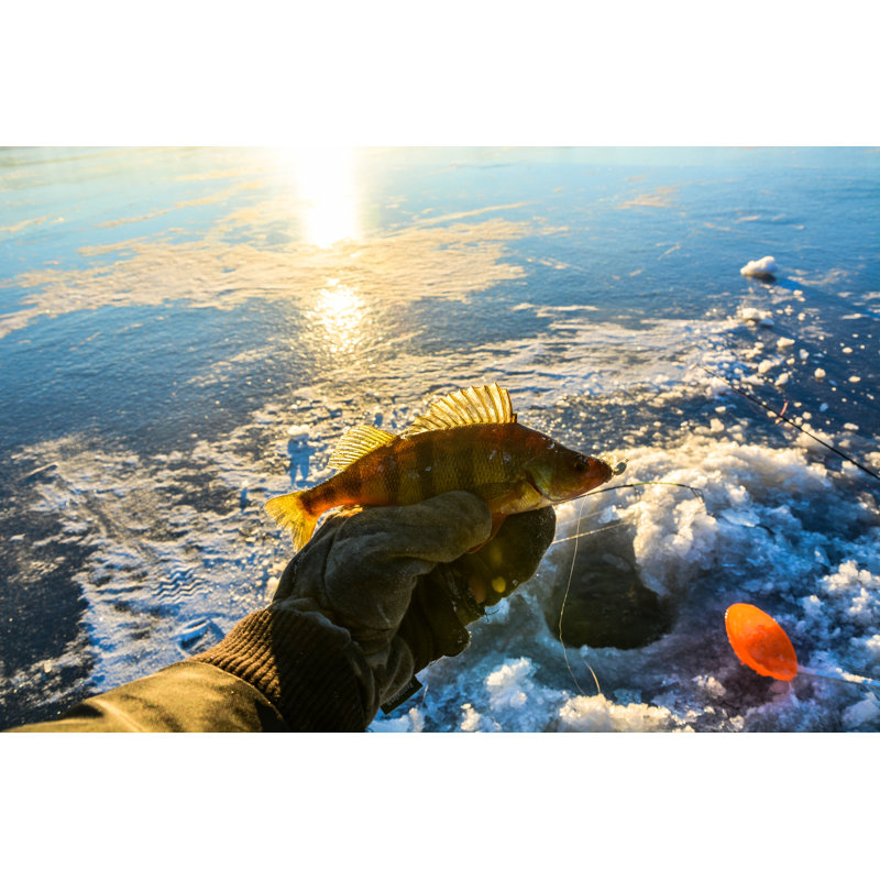 Perch Ice Fishing by Michaldziki - Wrapped Canvas Print, 30cm H x 46cm W x 3.8cm D
