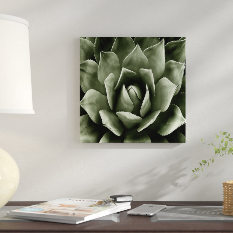 «Succulent II», impression sur toile, H 12 po x l 12 po x P 0,75 po, Papier d'art encadré noir, Pas de tapis