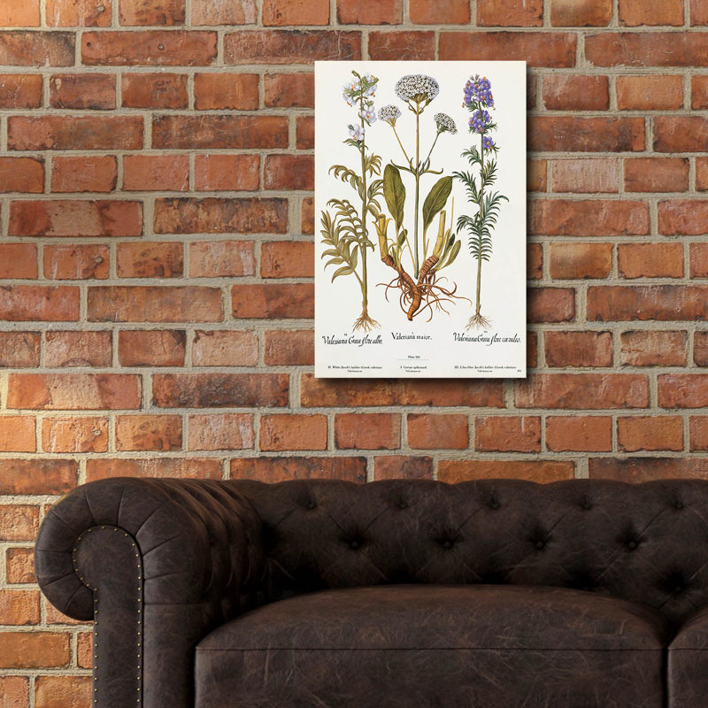 Art mural en verre acrylique épique «Valeriana» par Art Licensing Studio, 16 po x 24 po, H 24 po x l 16 po