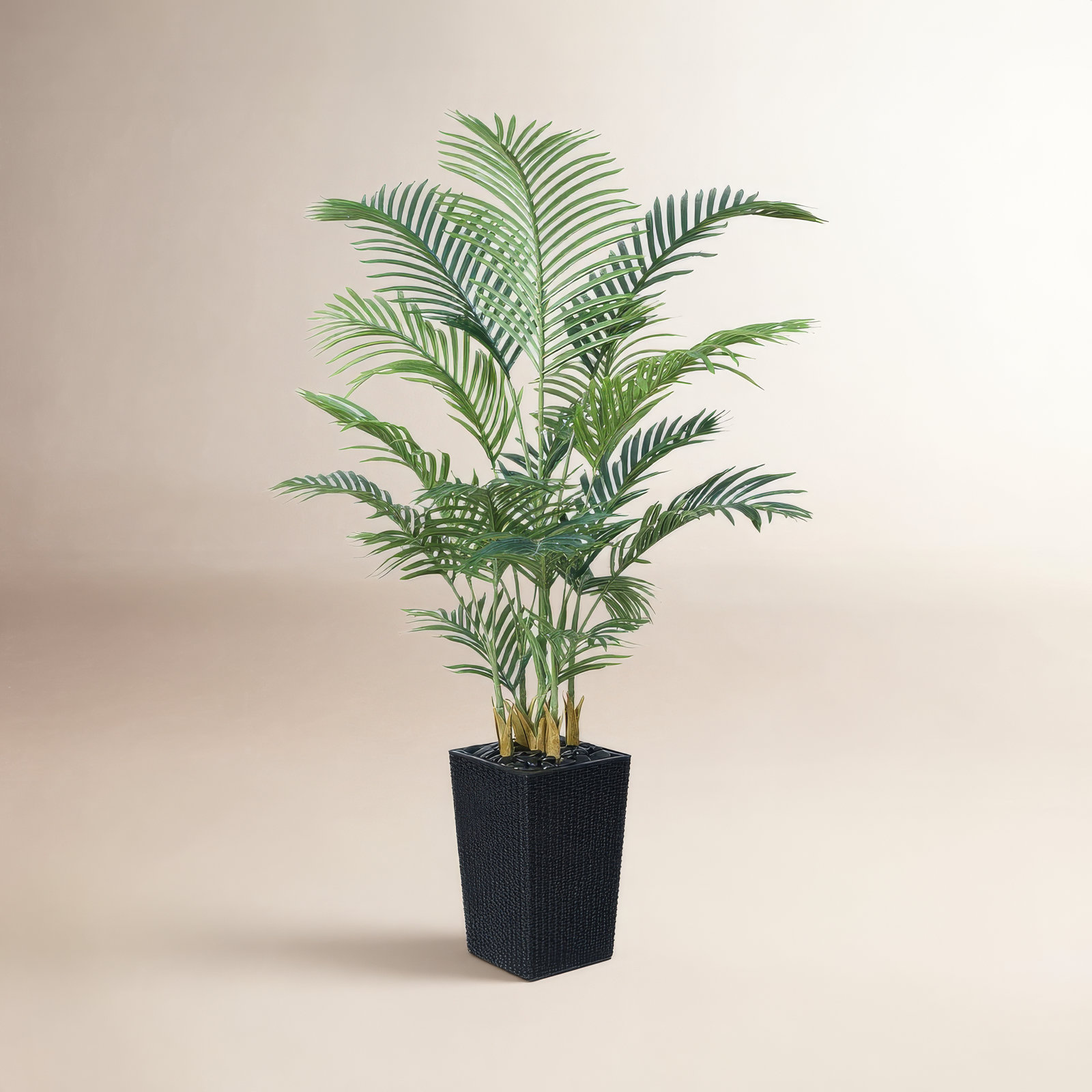 Aliza UV Resistant Artificial Palm Tree, Faux Palm Tree with Decorative Base for Indoor Outdoor, Black, 60" H x 20" W x 20" D