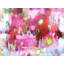 Roses And Mint Print by Elizabeth Chapman-65850967-132435503