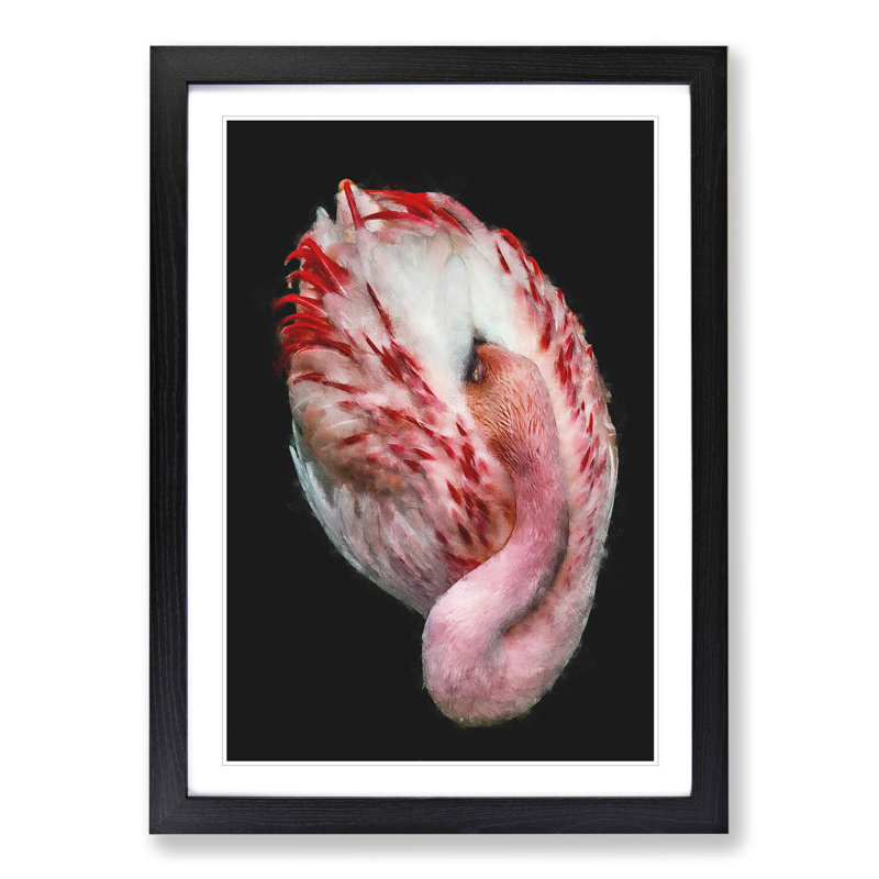 Curled Flamingo - Picture Frame Painting, 36cm H x 27cm W x 2cm D, Black Framed