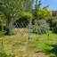 Odakotah Easy Up Outdoor Garden 3m Gazebo-1718427307