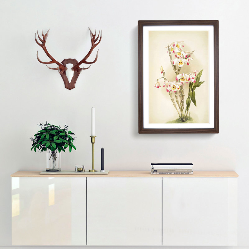 Magnolia Flowers Illustration Tab. 9 by Frederick Sander - Picture Frame Painting Print, Walnut, 76cm H x 50cm W x 2cm D