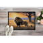 Paillasson Lions at Dawn-112746370