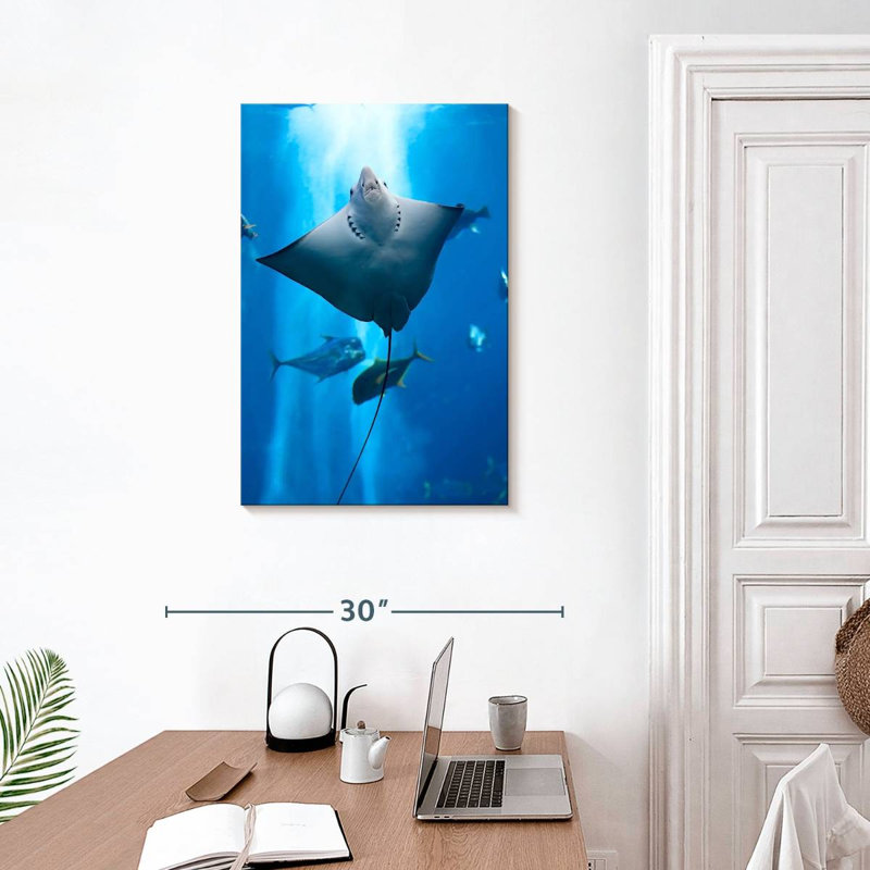Brampt Manta Ray, 30" H x 20" W