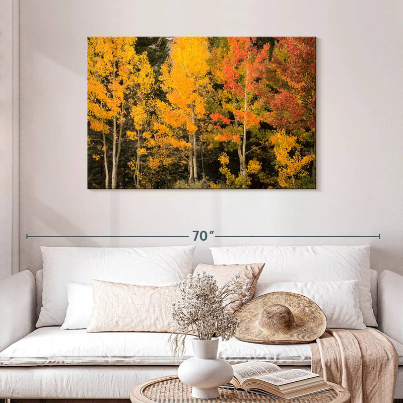 Harnek Aspen aux teintes d'automne, H 30 po x l 45 po