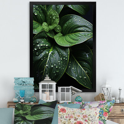 " Raindrop Over Green Leafs "