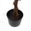 Anivea 150cm Faux Ginkgo Tree in Pot
