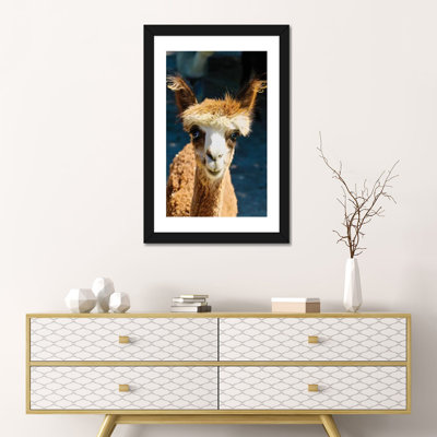 «Happy Brown Alpaca» par Susan Vizvary - reproduction d'art