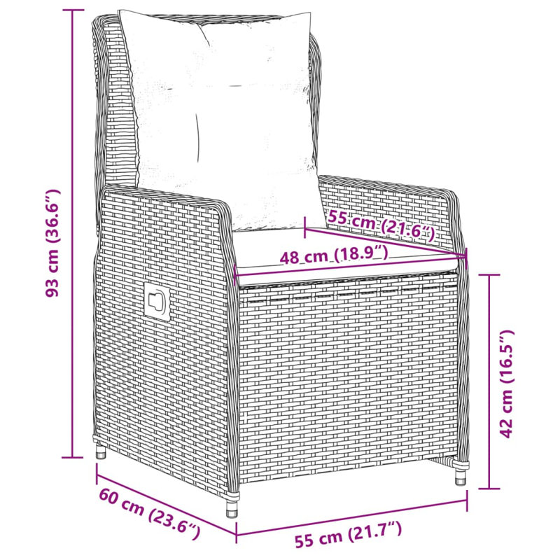  Fauteuil de jardin inclinable en PE noir, Noir, Blanc