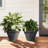 Two-piece Set Of Flower Pots With Classical Relief-1644956491