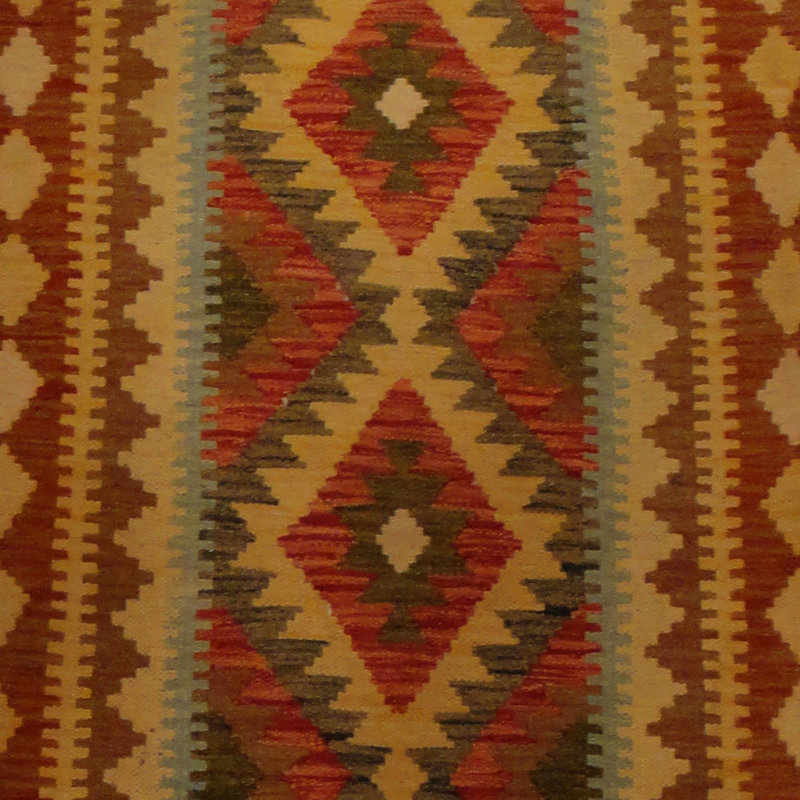Azpeitia Wool Southwestern Indoor Rug