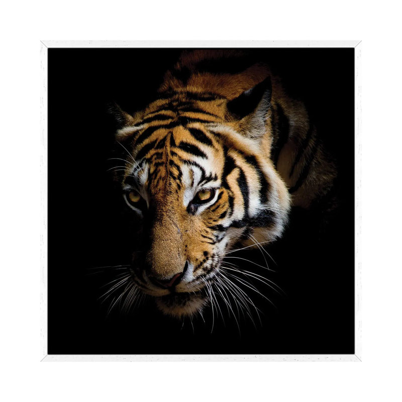 Harm 1 Piece Wall Art on Canvas, 93.98 cm H x 93.98 cm W, White Framed