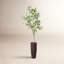 Eucalyptus artificiel Arles en pot