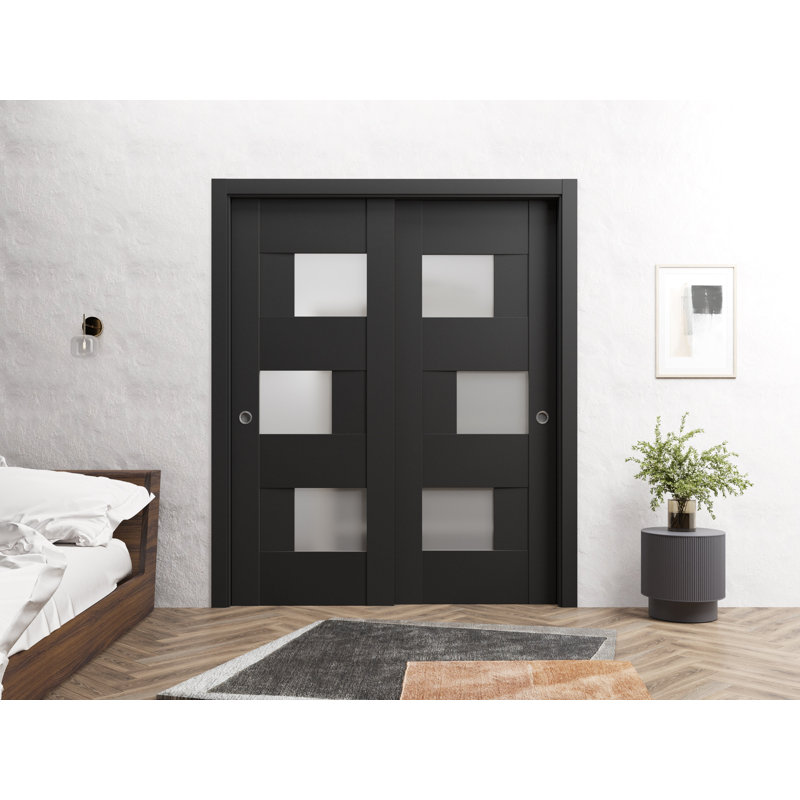 Portes coulissantes en verre givré Sete, Noir, 48 po x 80 po