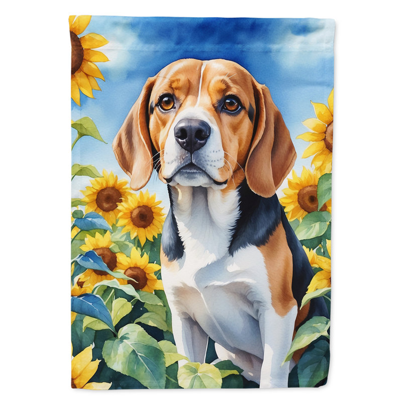 Lévrier irlandais dans le drapeau du jardin de tournesols, Beagle