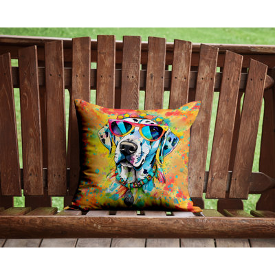 Other/No Pattern Outdoor Throw Pillow