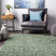 Abbiney Performance Shag Green Rug