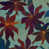 Tropic is out of stock selected