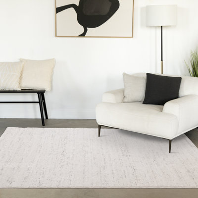 Ahkeelah Soft Polyester White Grey Speckle Rug
