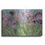 Iris Garden X par Sharon Pitts-2414832