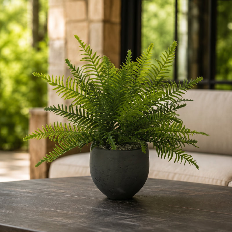 Outdoor UV-Rated Fern in Fiberstone Pot, Black