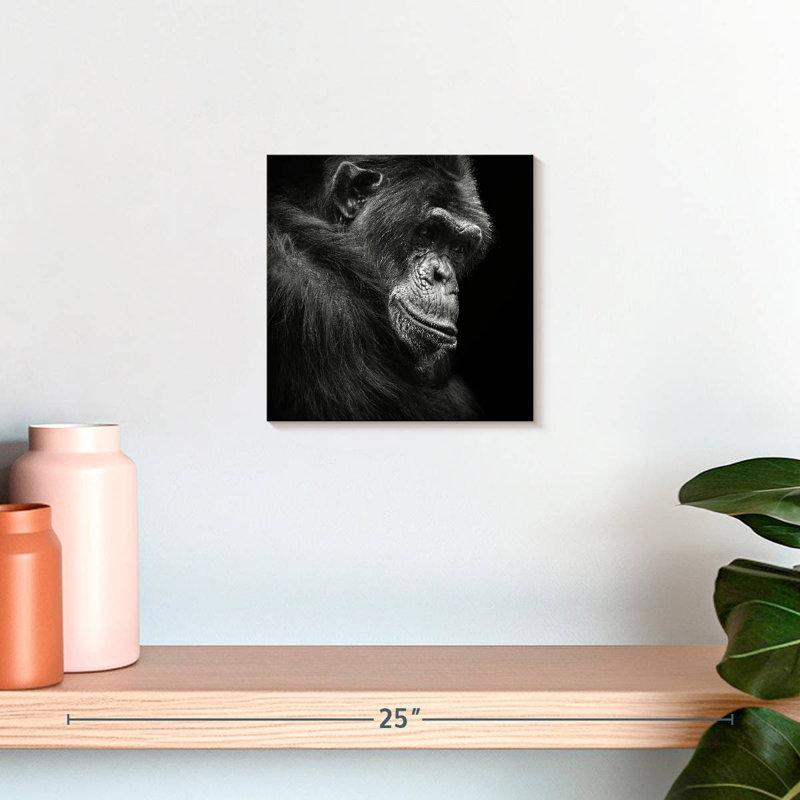 Crowle contemplant un chimpanzé, H 10 po x l 10 po