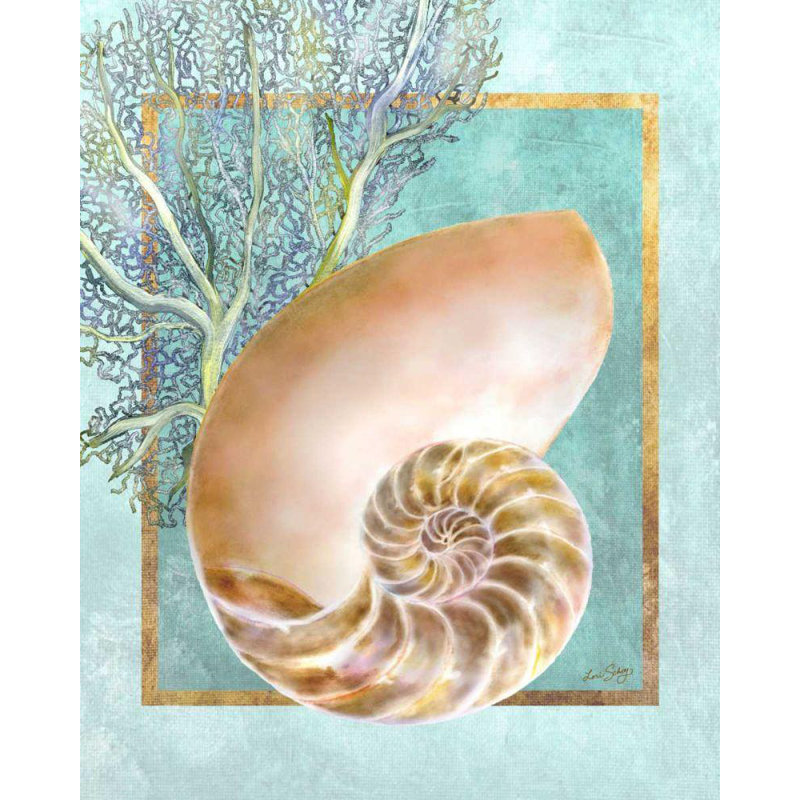 «Dovecove Schory», art sur toile tendue par Lori Gallery: Nautilus Shell and Coral, H 44 po x l 36 po