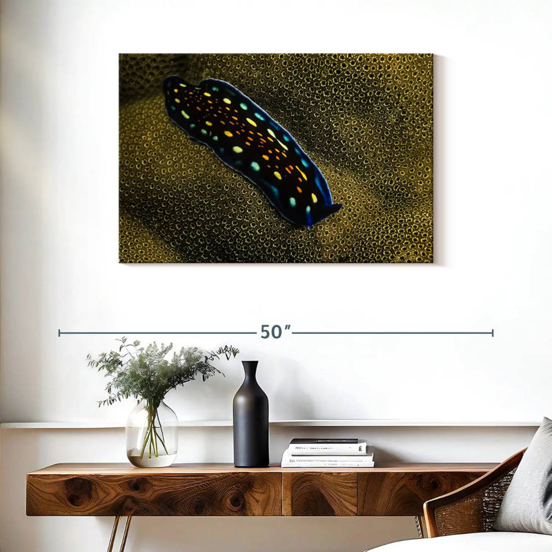 Crowle Linda's Flatworm