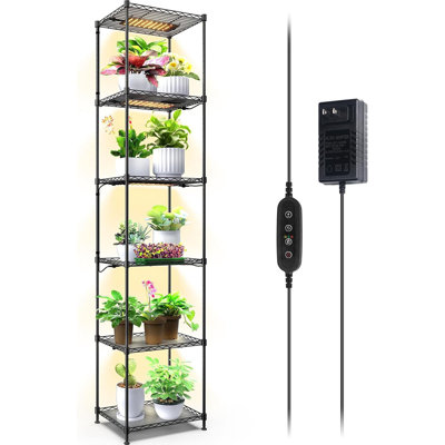 Plant Stand Indoor With Grow Light by Rebrilliant
