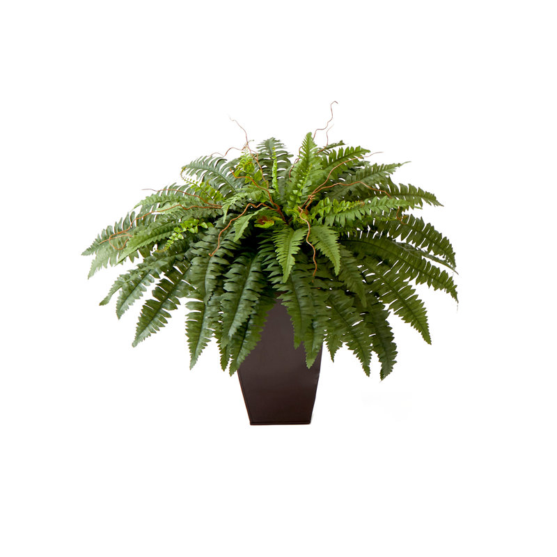 Varner 21 " H Faux Fern Plant